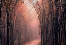 德甲前瞻|拜仁3-0圣保利:后防伤麻了,领先6分.