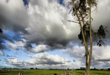 奇异果体育官网：泰国羽毛球大师赛：我国男将郑加恒晋级半决赛.