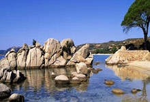 伊朗vs阿联酋上半场现超长补时,比赛曾因球场设备问题中断.